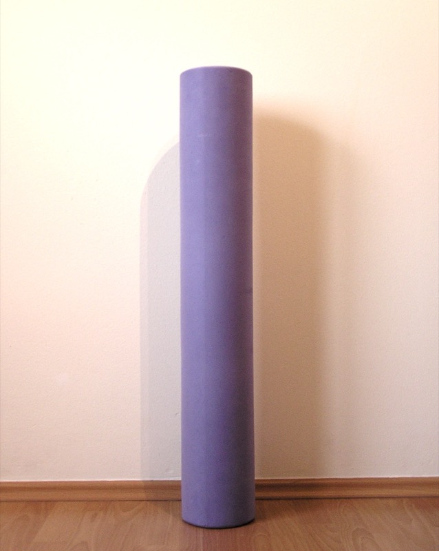 SpineAlign High-Density Spinal Foam Roller